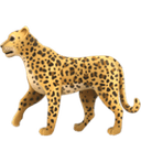 Leopard emoji