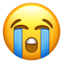 Loudly crying face emoji