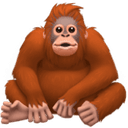 Orangutan emoji