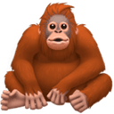 Orangutan emoji