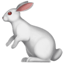 Rabbit emoji