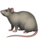 Rat emoji