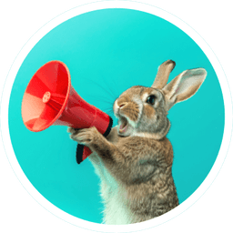 Job opening from Sociality.io - Content & Growth Maker