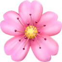 Cherry blossom emoji