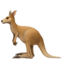 Kangaroo emoji