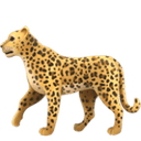 Leopard emoji