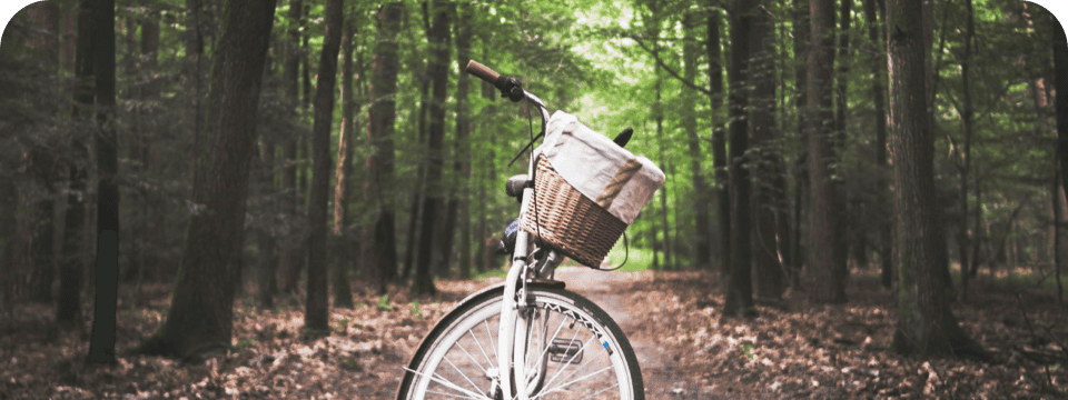 Social media holiday calendar - June 3, World Bicycle Day