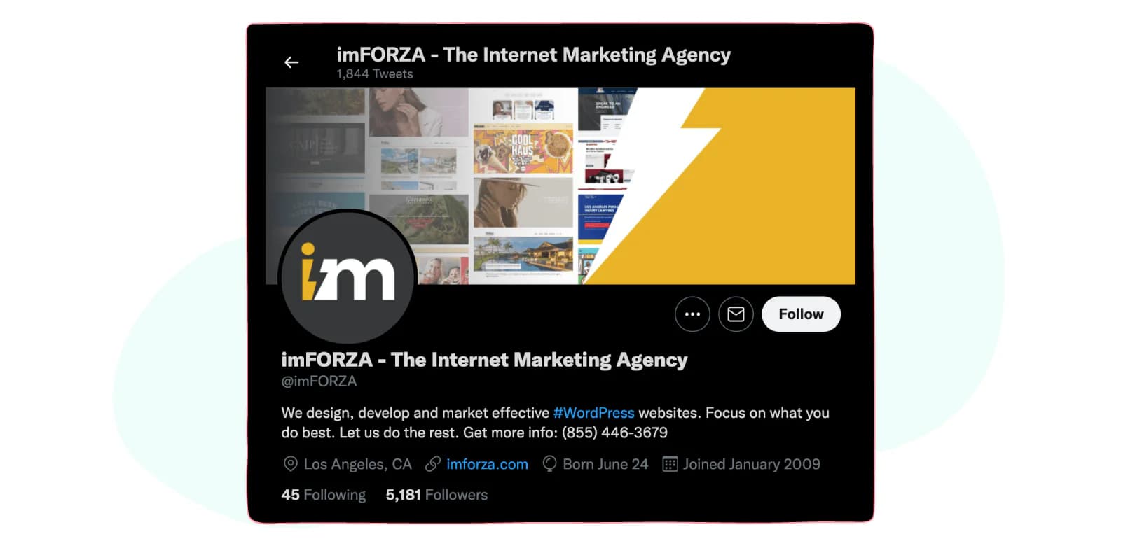 Align Twitter Bio - imFORZA example