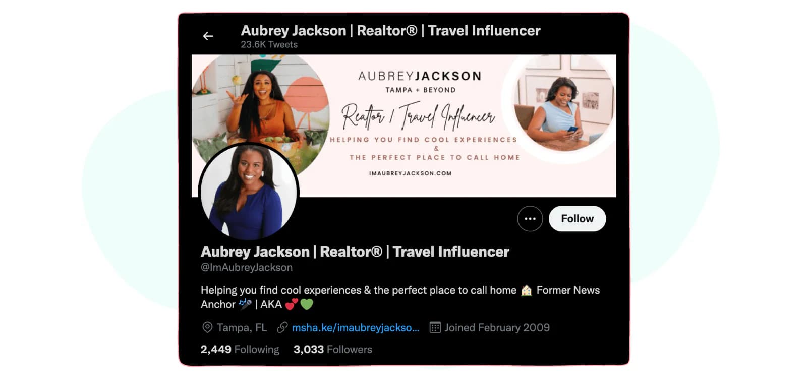 Influencer bios