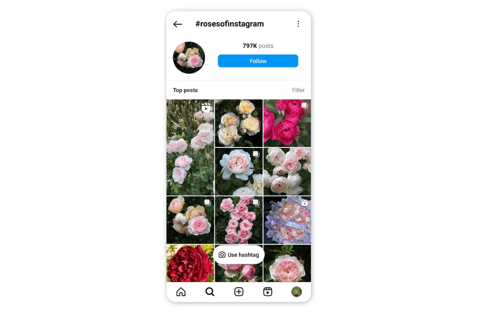 Instagram hashtag page for #rosesofinstagram showing top posts and a follow button