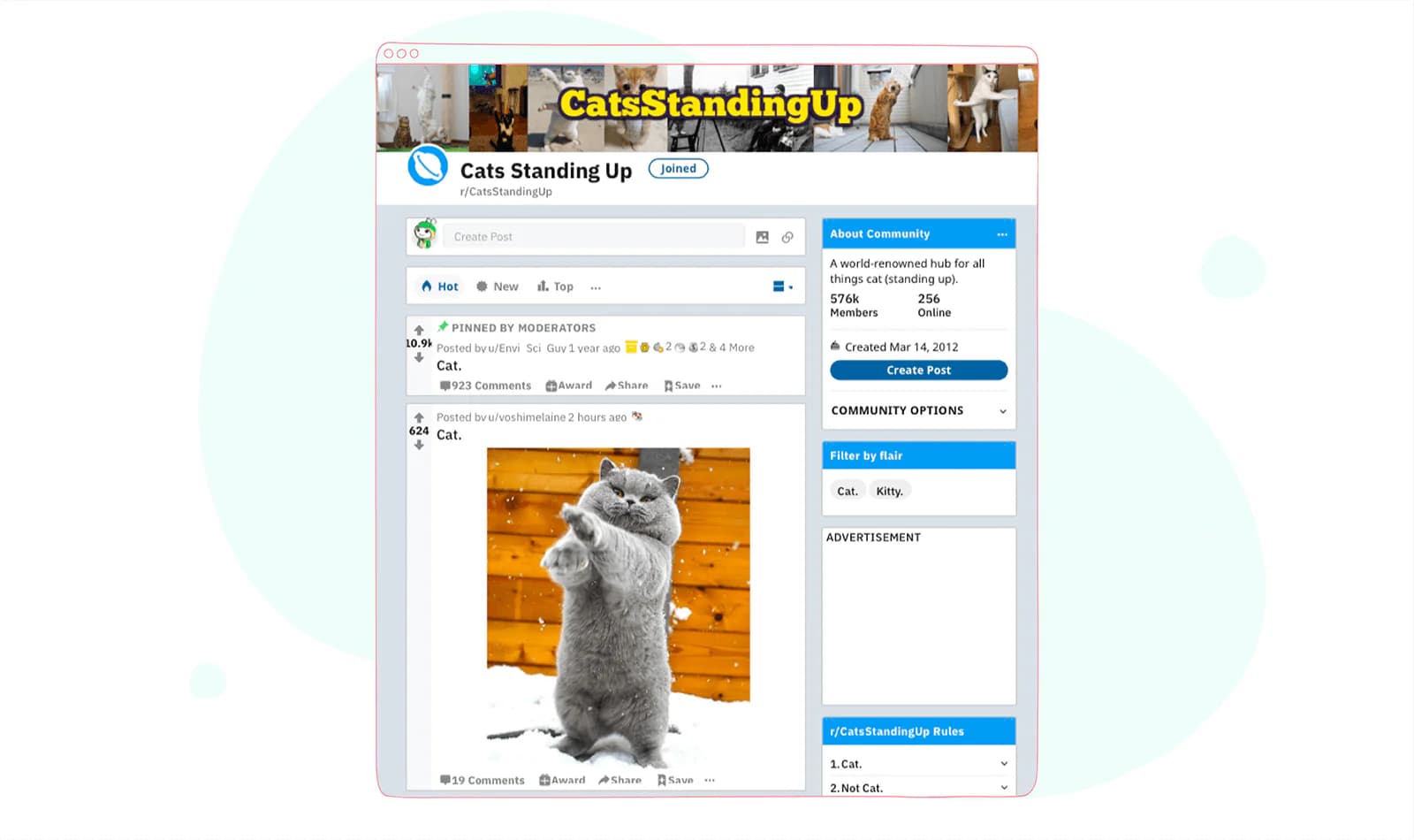 Reddit Cat Community