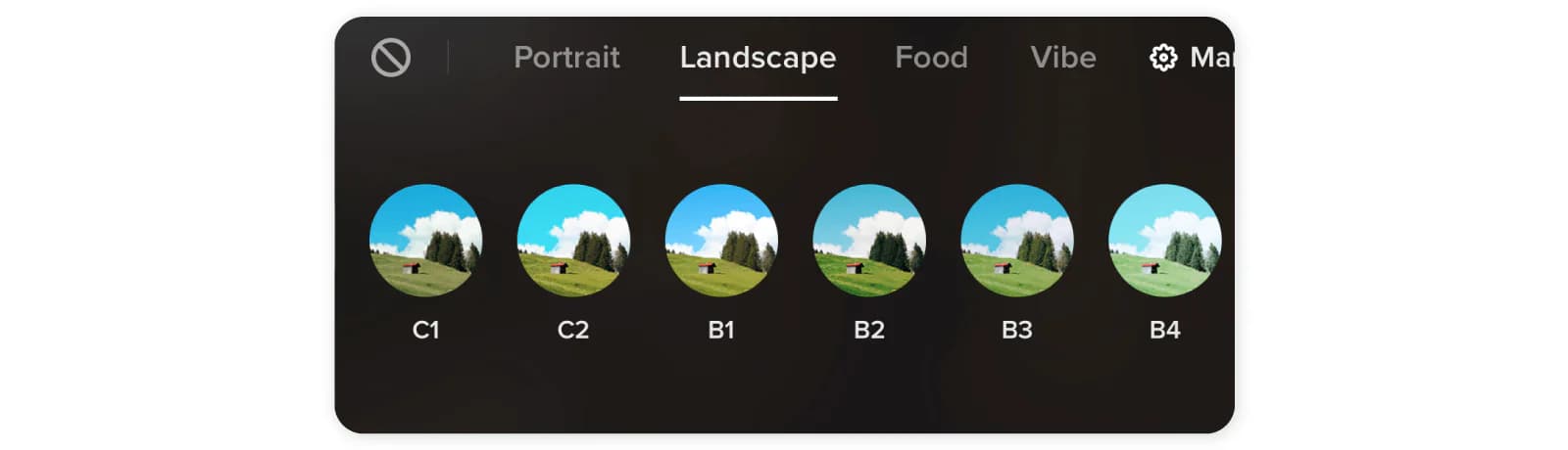 What are TikTok filters - Landscape