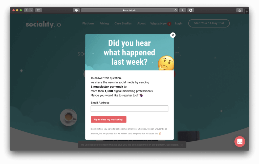 Sociality.io Newsletter