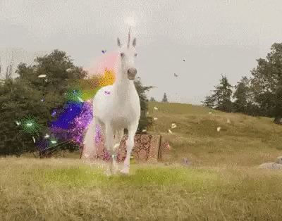 Unicorn