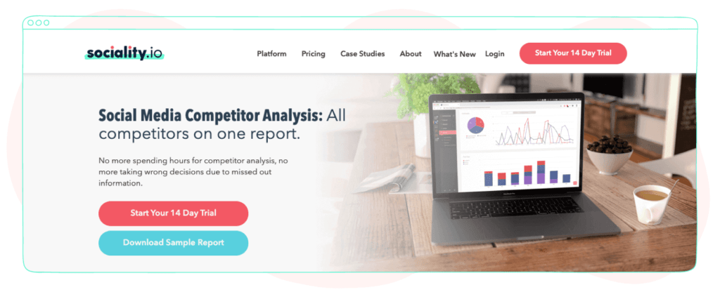 sociality.io competitor analysis