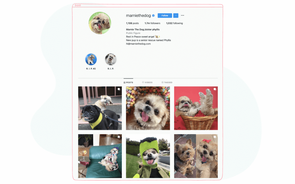 Instagram verified account