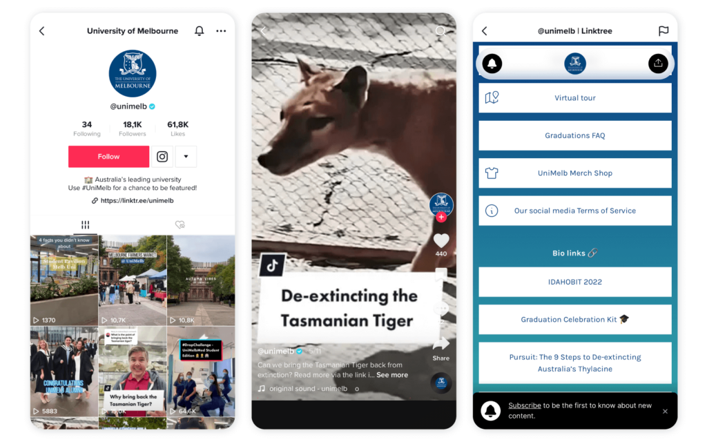 Trends for internal link-building on TikTok - Behind-the-scenes content