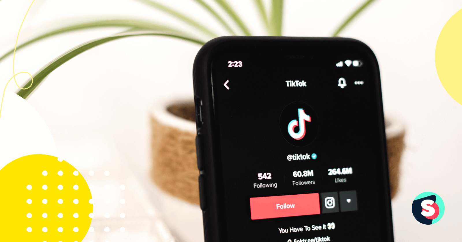 How to Get Verified on TikTok: A Guide to Earning the Blue Tick