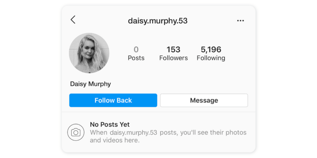 How to detect fake followers on Instagram