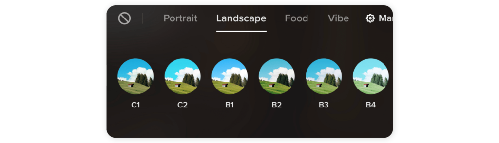 What are TikTok filters - Landscape