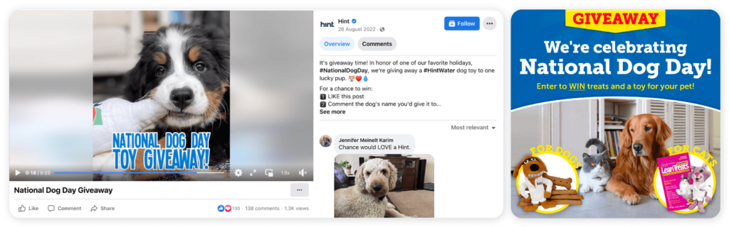 How to promote National Dog Day on social media