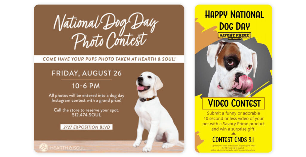 How to promote National Dog Day on social media - contest