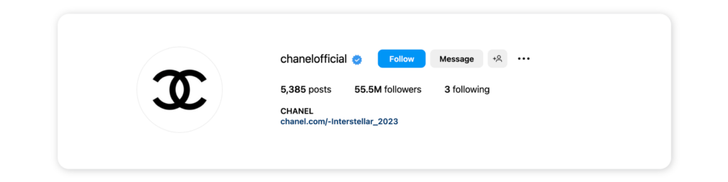 Classy Instagram bios - Chanel